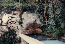 Fountain with stone trough
